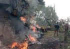 helicopter crash in coonoor